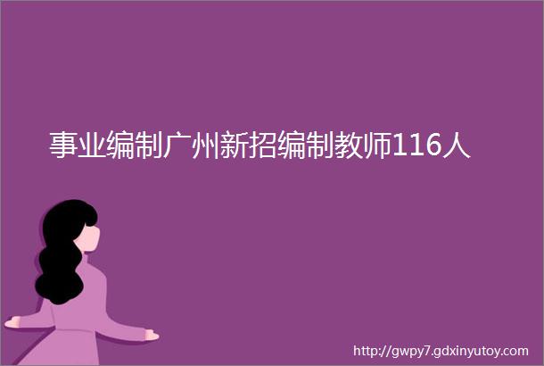 事业编制广州新招编制教师116人