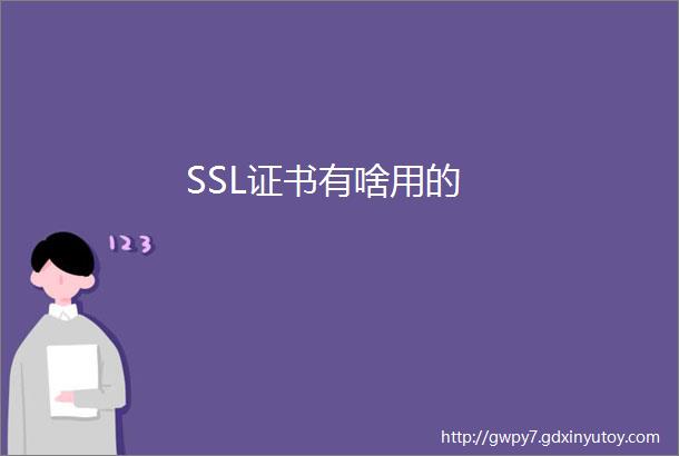 SSL证书有啥用的